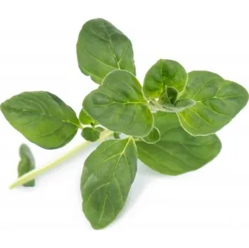 Zahrada Veritable, Kapsle se semínky Lingot základní bylinky oregano - Formadore