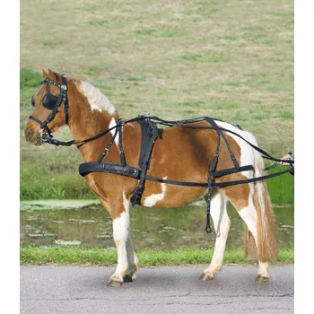 Nylonový postroj Waldhausen pony/shetty černý Barva: černá, Velikost: SH velikosti PONY a SH