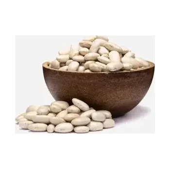 Luštěnina Fazole bílá BIO 500 g