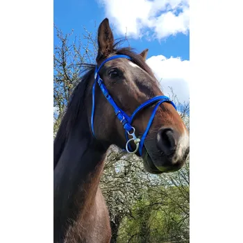 Vybavení pro koně Uzdečka Biothane modrá COB Barva: Modrá, Velikost: COB