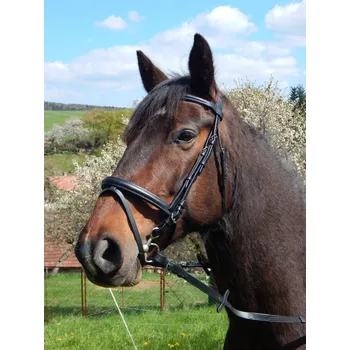 Vybavení pro koně Kožená uzdečka Mámekoně černá s otěžemi Velikost: COB/FULL