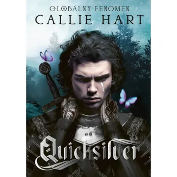 Kniha Quicksilver (slovenský jazyk)