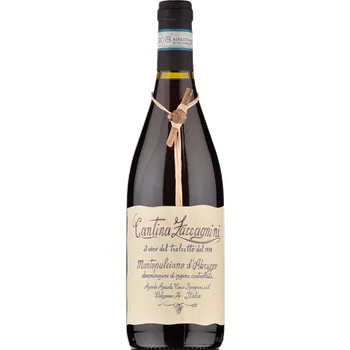 Víno Zaccagnini Montepulciano d'Abruzzo DOC 2023