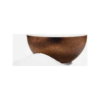 Proteinový nápoj Kokosová voda v prášku BIO 250 g