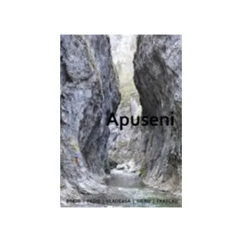 Kleslo, Michal - Apuseni