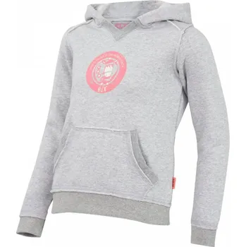 Chlapecká mikina Dětská mikina SALLY ELT šedá 128 Barva: šedá, Velikost: 128