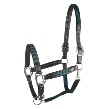 Vybavení pro koně Ohlávka STAR MIX Waldhausen Barva: jedle zelená/stříbrná, Velikost: PON