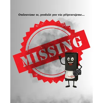 fritéza DASgastro Elektrická fritéza 1×28 l se skříní (12kW)