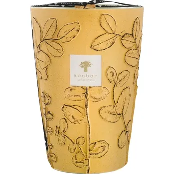 Baobab Collection, Vonné svíčka Folia Garrigue, 35 cm - Formadore