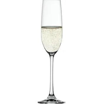 Sklenice Spiegelau, Pohár na šampaňské Salute - Formadore