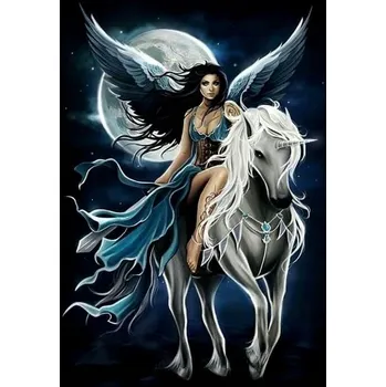 Obraz Obraz MALOVÁNÍ PODLE ČÍSEL Pampicio RÁM 50x40 Žena a Jednorožec