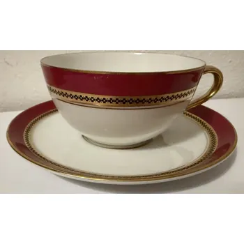 Stolování Starožitný porcelánový šálek Bordó Rosenthal