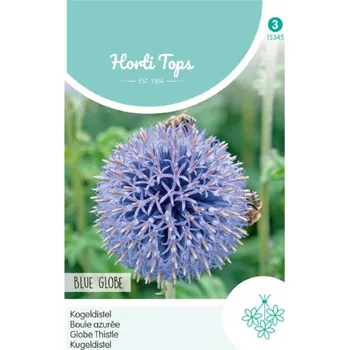 Sazenice Semena - Bělotrn ´BLUE GLOBE´