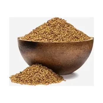 Sušená potravina Alfalfa BIO semínka na klíčení