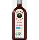 Sirup Echinacea Imunita 250 ml