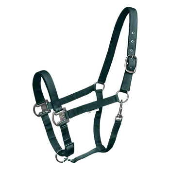 Vybavení pro koně Ohlávka Waldhausen Gloomy - zelená Barva: jedle zelená, Velikost: WB