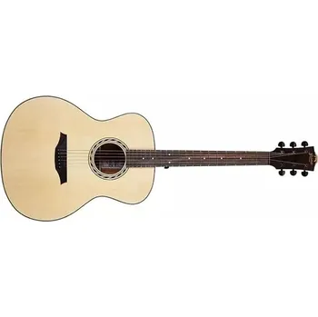 Kytara Akustická kytara Bromo Guitars BAA2 NS