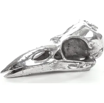 Seletti, Ozdoba Wunderkammer lebka havrana - Formadore