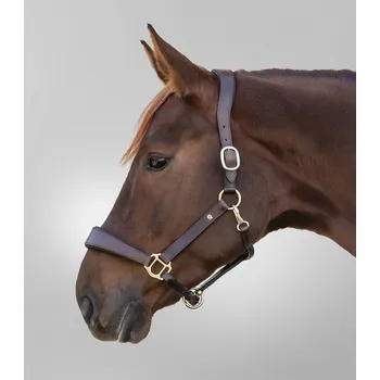 Vybavení pro koně Waldhausen S-Line Kožená ohlávka Anatomic Barva: hnědá, Velikost: WB