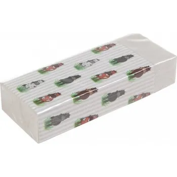 Pryž Guma Little Horses