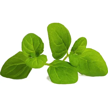 Zahrada Veritable, Kapsle se semínky Lingot základní bylinky máta ledová - Formadore