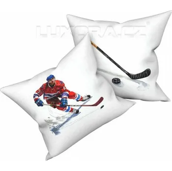 Dekorativní polštářek Povlak Hokejista - 40 x 40 cm
