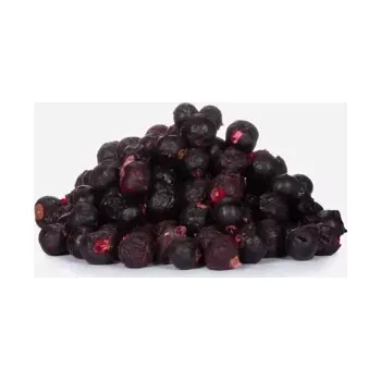 Sušená potravina Rybíz černý lyofilizovaný