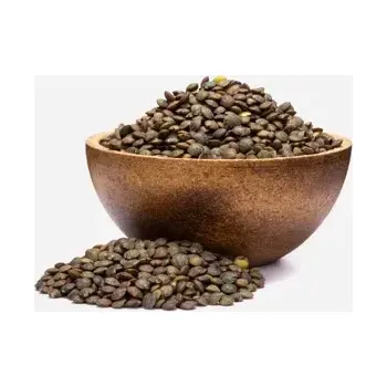 Luštěnina Čočka hnědá BIO 500 g