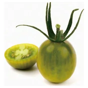 Semeno Rajče tyčkové Tomver F1 (cherry, zelené, oválné, sladké, odolné plísni)