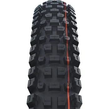 Plášť na kolo Plášť 29" x2.50" Schwalbe Albert Trail Pro TLR radial