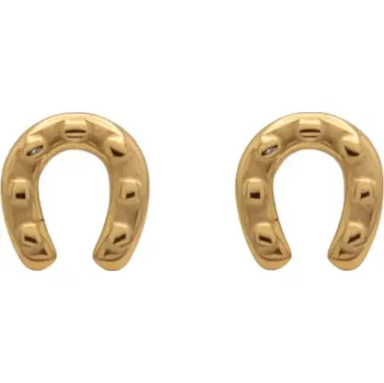 Náušnice Naušnice Equestrian Cary zlatá