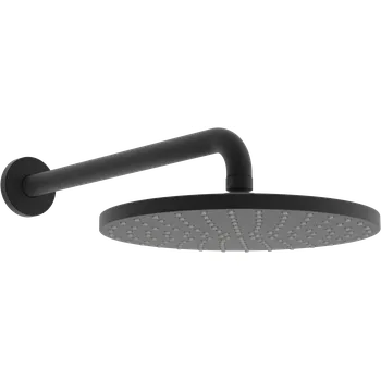 Sprchová hlavice Hansa Hlavová sprcha, průměr 25 cm, matná černá - 4426020033