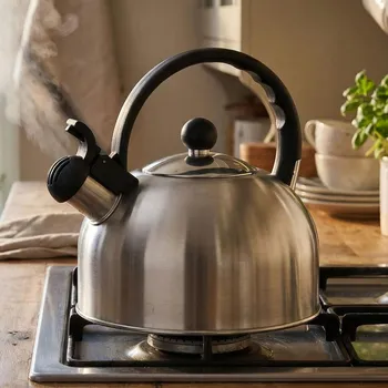 Konvice na čaj Nerezová konvice na vaření vody s píšťalkou DAILY SATIN 2,5 l