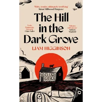 The Hill in the Dark Grove - Liam Higginson Pan Macmillan