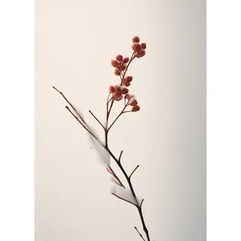 Plakát Plakát Jemná Síla Zimy bez rámu 50 x 70 cm