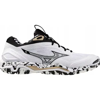 Pánská sálová obuv Sálové boty na házenou Mizuno WAVE STEALTH 6, velikost 45