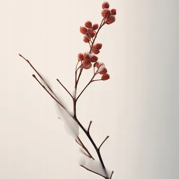 Plakát Plakát Jemná Síla Zimy bez rámu 100 x 100 cm