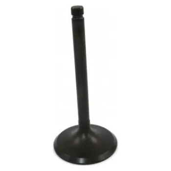 Ventil motoru Sací ventil JMP