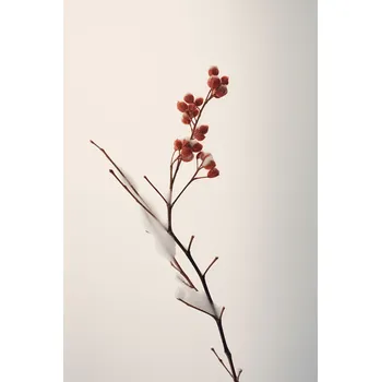 Plakát Plakát Subtilní síla zimy bez rámu 61 x 91,5 cm