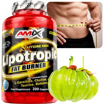 Spalovač tuku SPALOVAČ TUKŮ NA BŘICHO Bez Kofeinu Lipotropní HCA CLA Cholin Betain