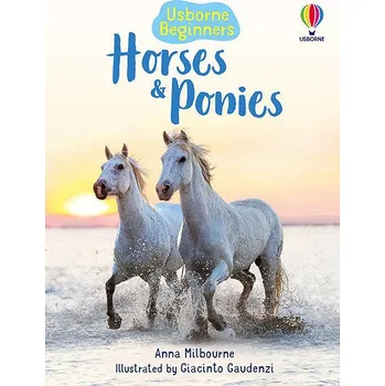Cizí jazyk Usborne Horses and Ponies Kniha