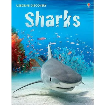 Cizí jazyk Usborne Sharks Kniha