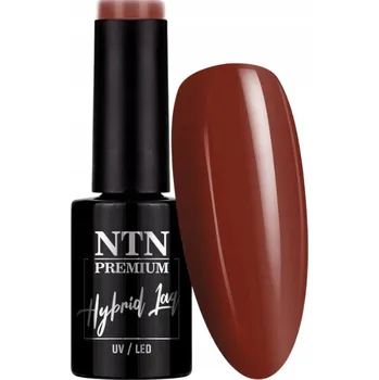 Lak na nehty Hybridní lak NTN Springtime selfie 5g Č. 280