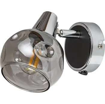 Nástěnné svítidlo Nástěnné svítidlo / lampa s reflektorem Tamara Rabalux E14 40W Stříbrná 5346