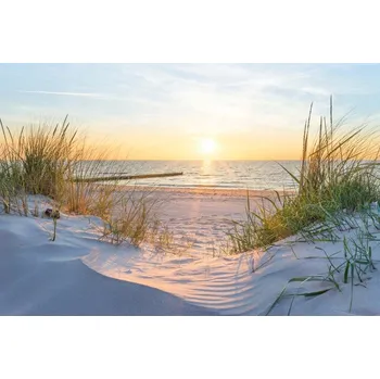 Obraz Obraz Na Plátně Pláž Moře Duny 30x20