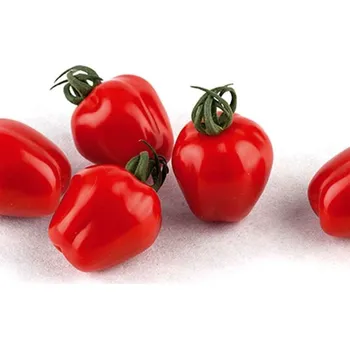 Semeno Rajče tyčkové Appleberry F1 PhR červené - Solanum lycopersicum - osivo rajčat - 7&nbsp;ks
