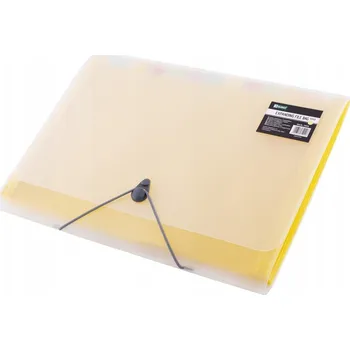 Pořadač/Organizér s gumou a přihrádkami A4 D.rect