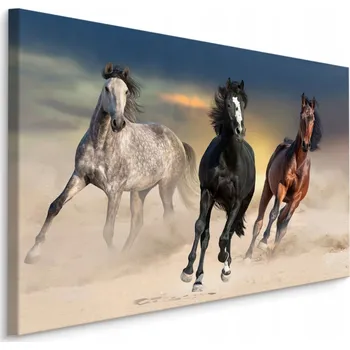 Obraz Obraz Tryskající Koně v Poušti 3D Efekt 70x50