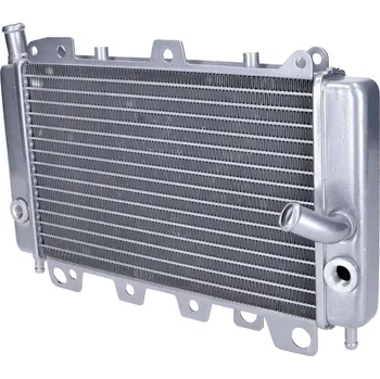 Chlazení pro motocykl OEM Standard Chladič Piaggio 54656