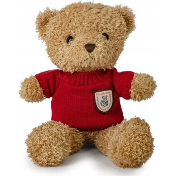 plyšák MEDVÍDEK HNĚDÝ 22 CM V SVETRU / ČERVENÝ